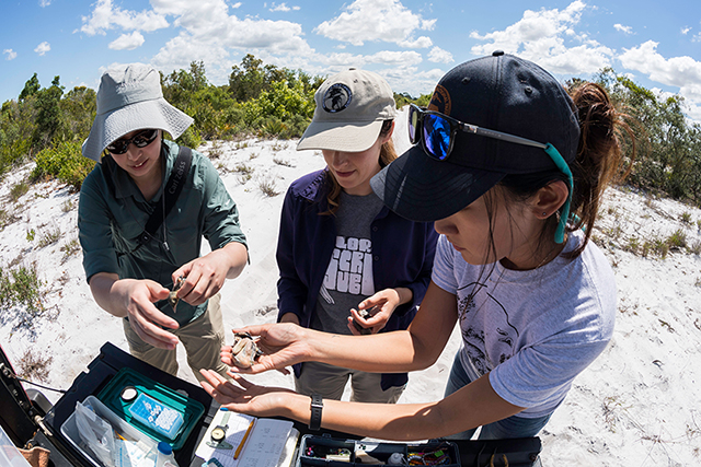 Three people looking at samples on the tailgate of a truck that's on a beach.